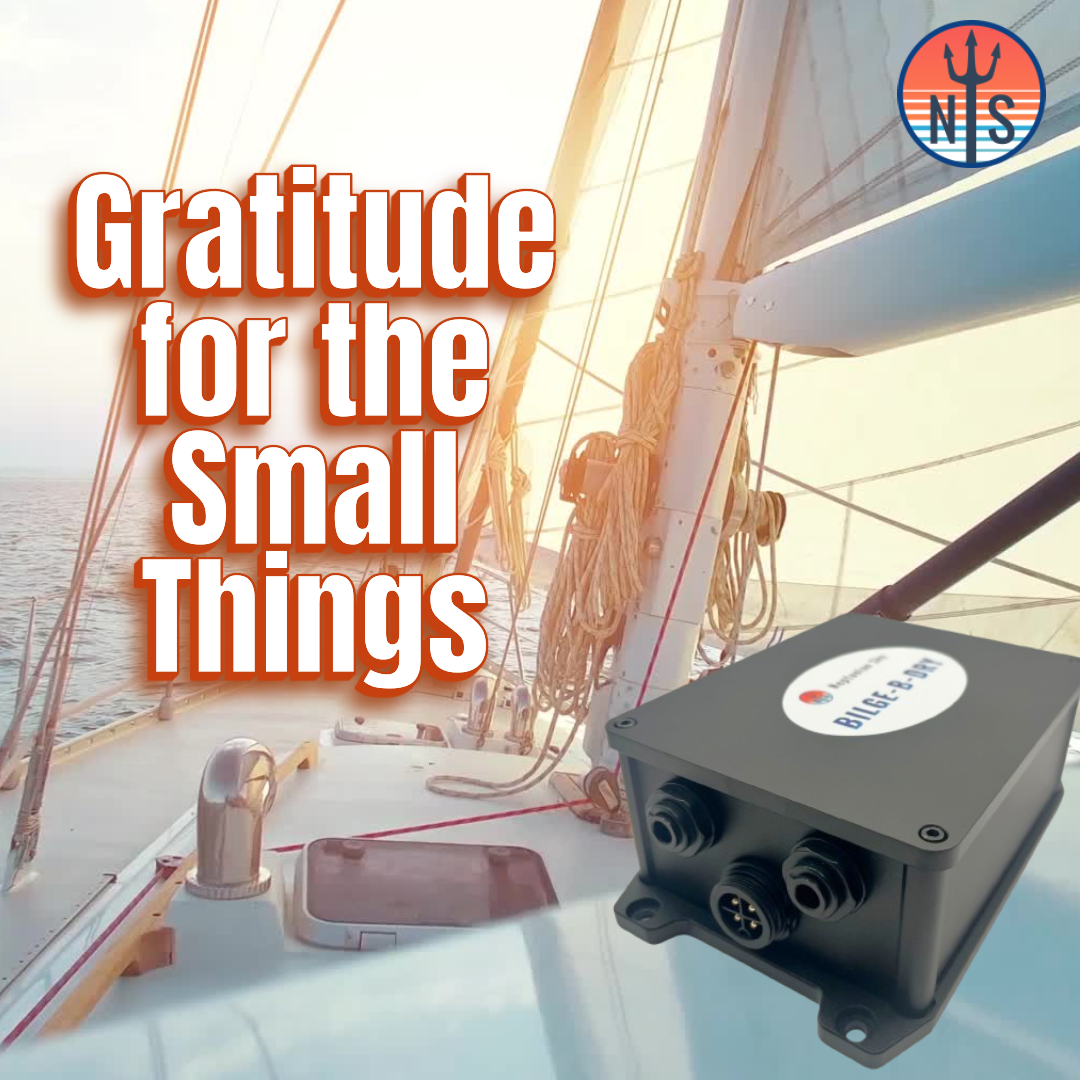 Why Gratitude for Small Things Is Powerful