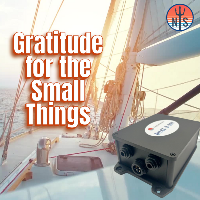 Why Gratitude for Small Things Is Powerful