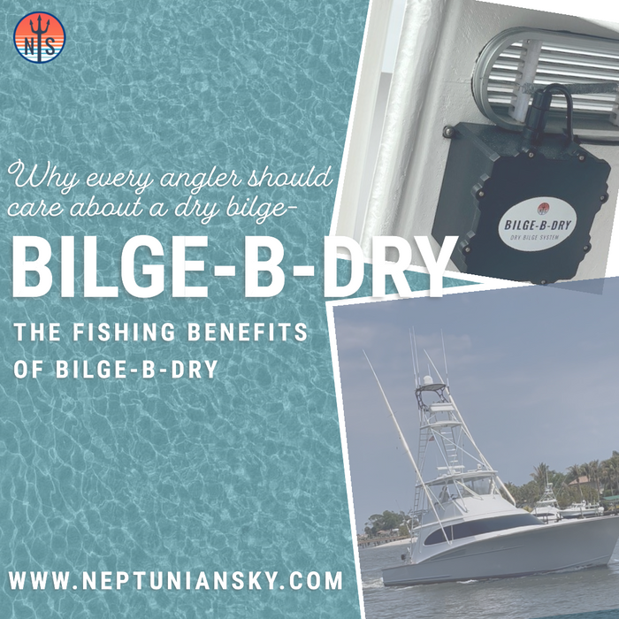 Why Every Angler Should Care About a Dry Bilge: The Fishing Benefits of BILGE‑B‑DRY